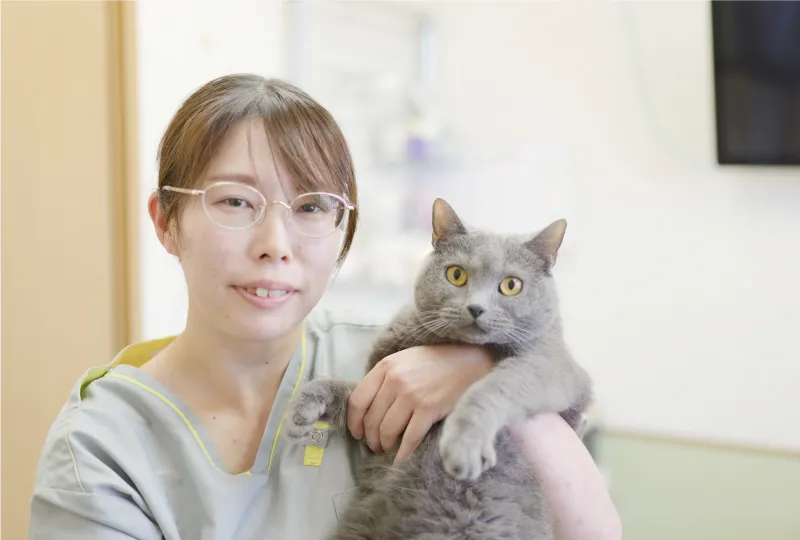 しょうこ動物病院